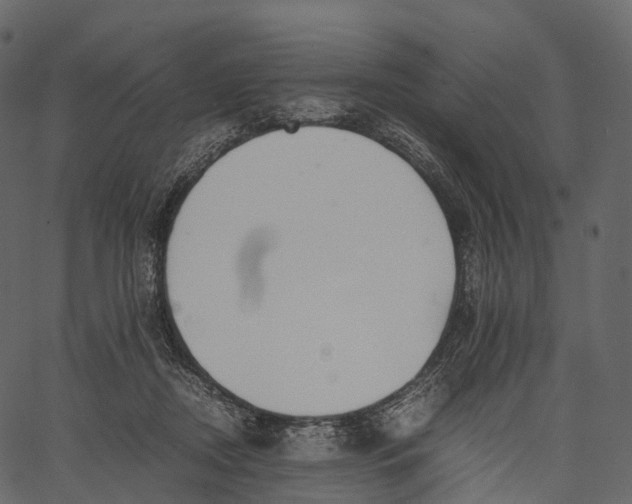 X0000062620362200601111040