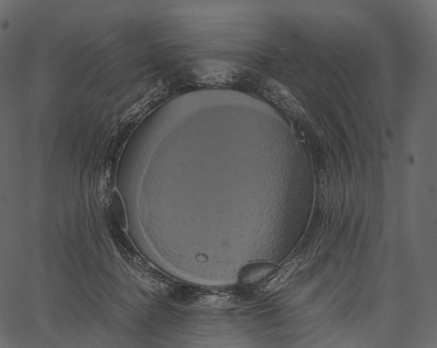 X0000062620364200601111040