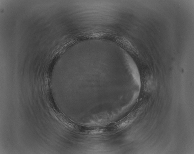 X0000062620366200601111040