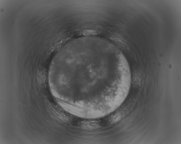 X0000062620367200601111040