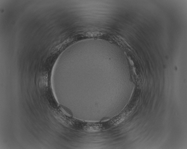 X0000062620368200601111040