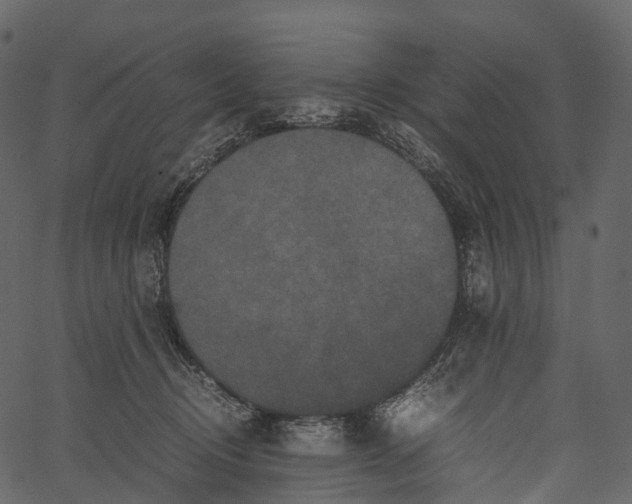 X0000062620370200601111040