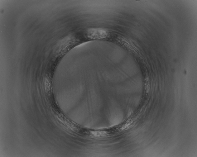 X0000062620371200601111040