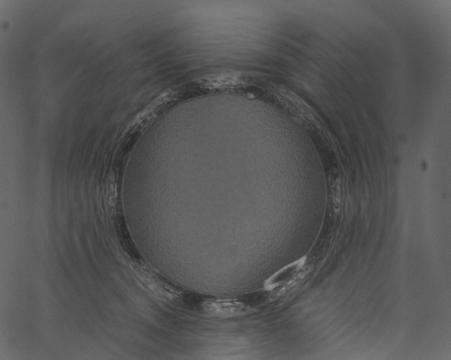 X0000062620372200601111040