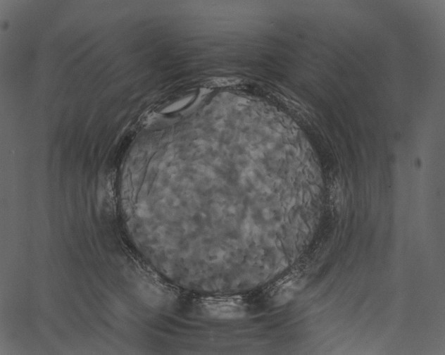 X0000062620373200601111040