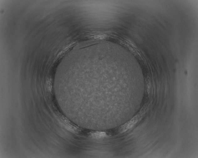 X0000062620374200601111040