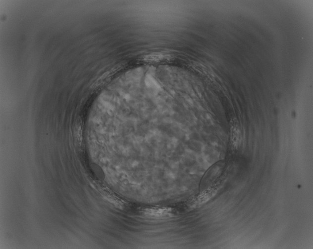 X0000062620375200601111040