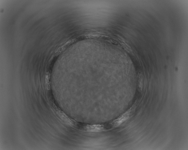 X0000062620378200601111040