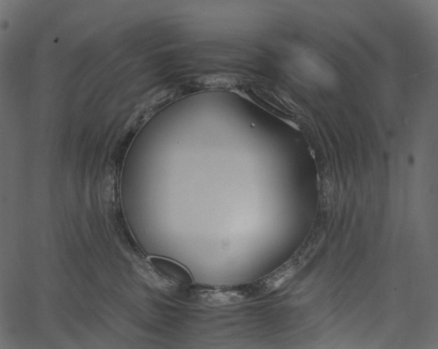 X0000062620379200601111040