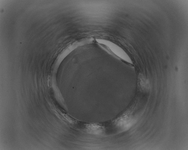 X0000062620380200601111040