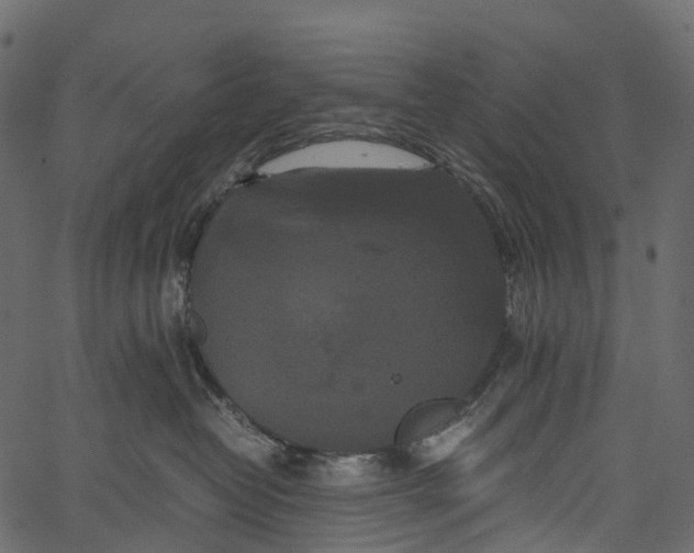 X0000062620382200601111040