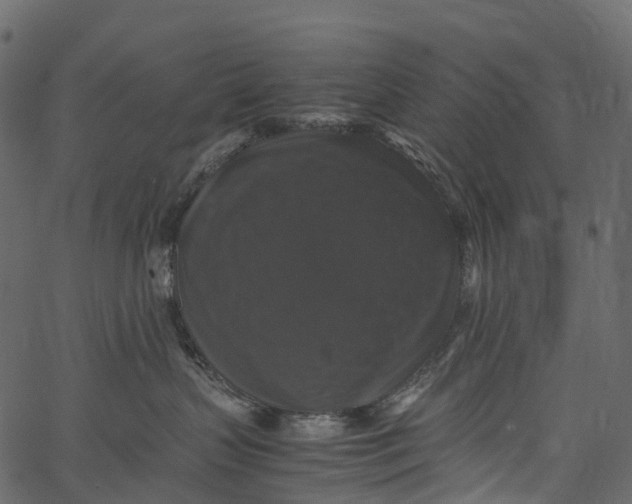 X0000062620383200601111040