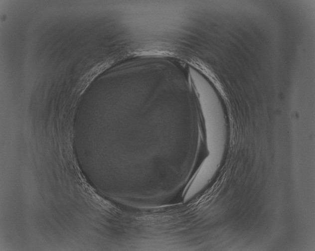 X0000062620385200601111040