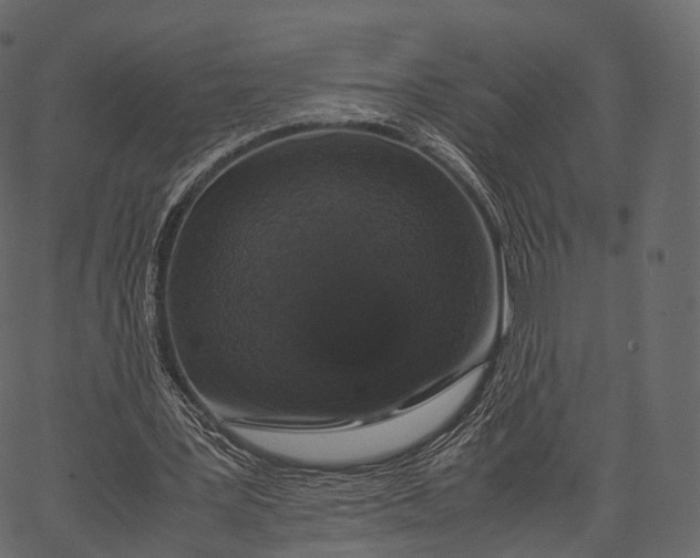 X0000062620387200601111040