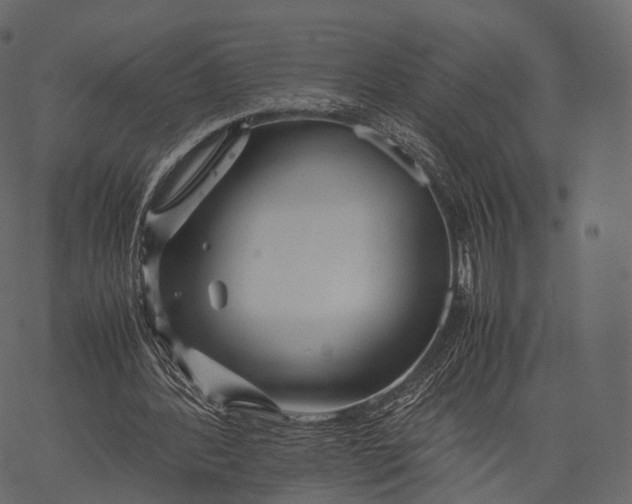 X0000062620388200601111040