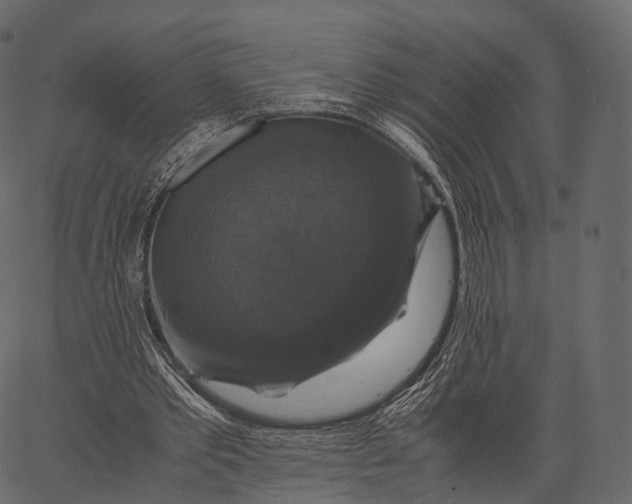 X0000062620389200601111040