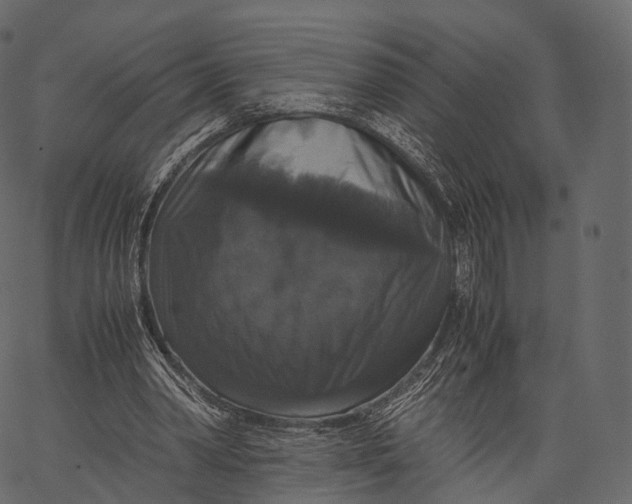 X0000062620390200601111040