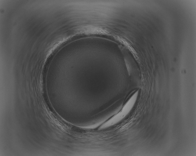 X0000062620391200601111040