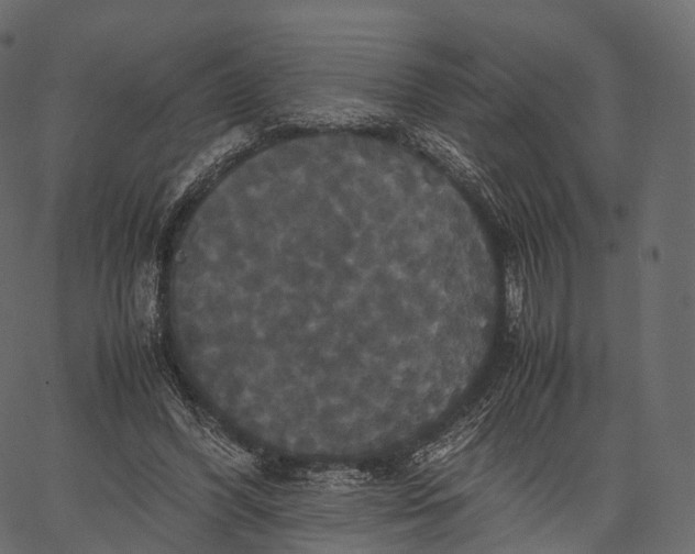 X0000062620396200601111039