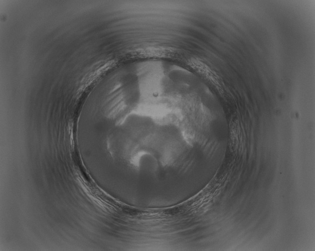 X0000062620398200601111039