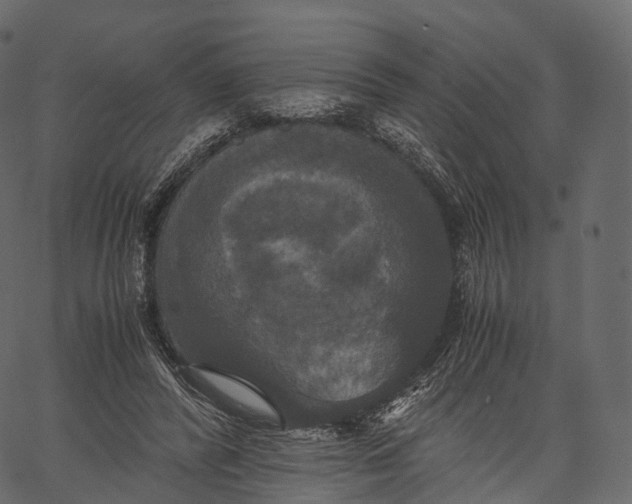 X0000062620400200601111039