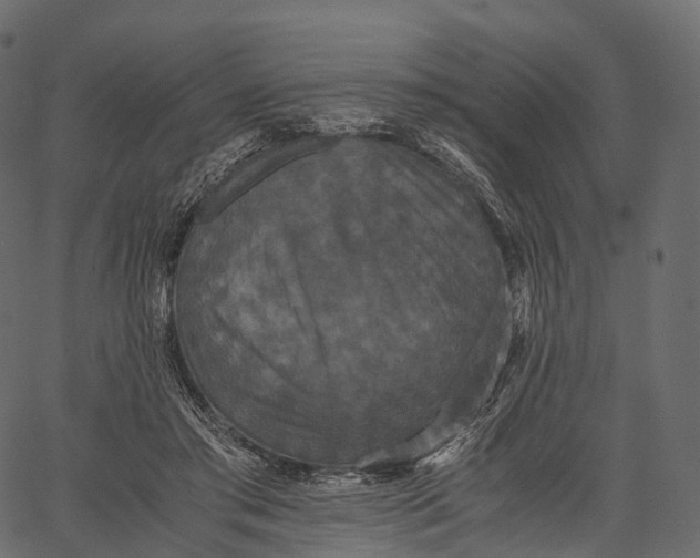 X0000062620405200601111039