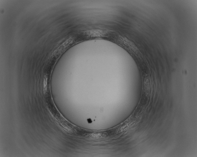 X0000062620406200601111039