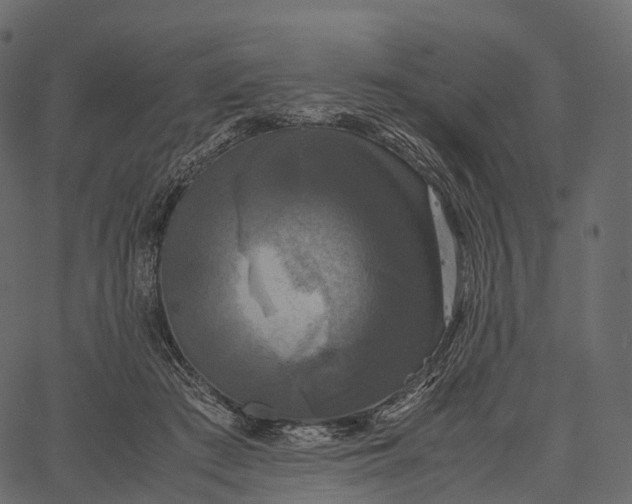 X0000062620409200601111039