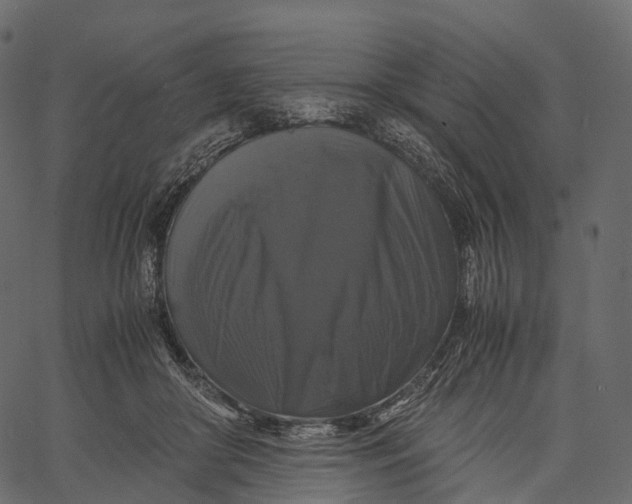 X0000062620410200601111039