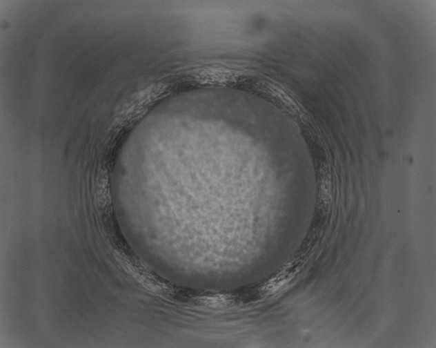 X0000062620411200601111039