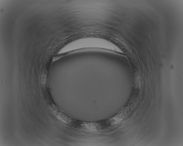 X0000062620417200601111039