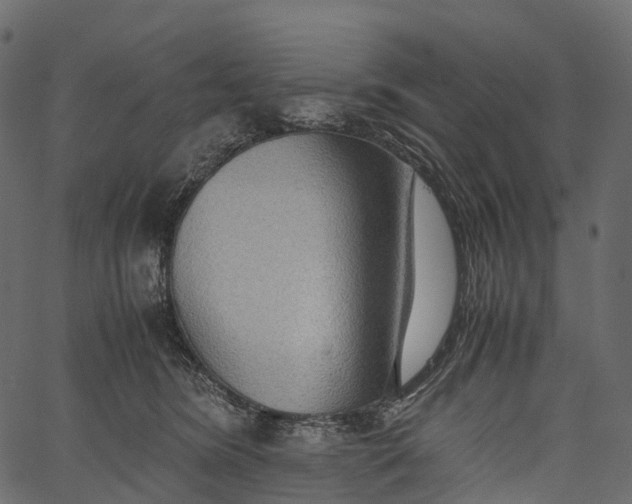 X0000062620420200601111039