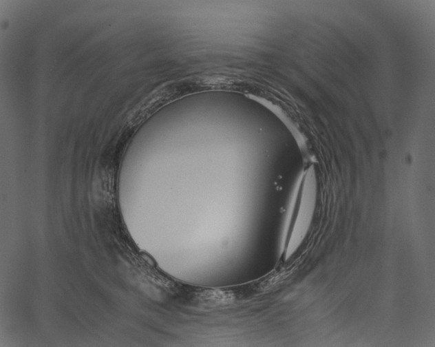 X0000062620421200601111039