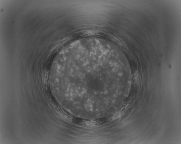 X0000062620423200601111039