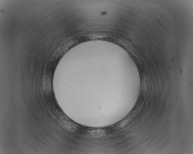 X0000062620426200601111039