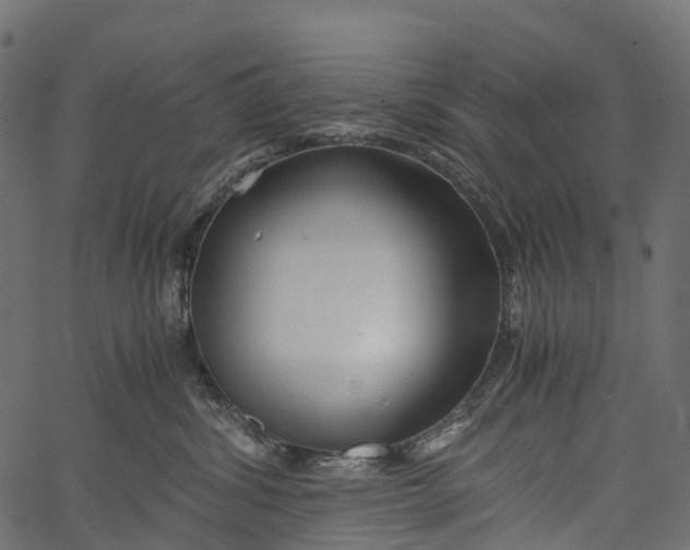 X0000062620428200601111039