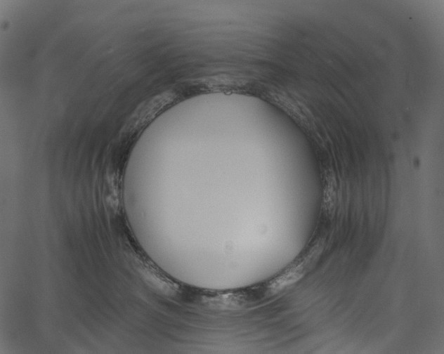 X0000062620430200601111039