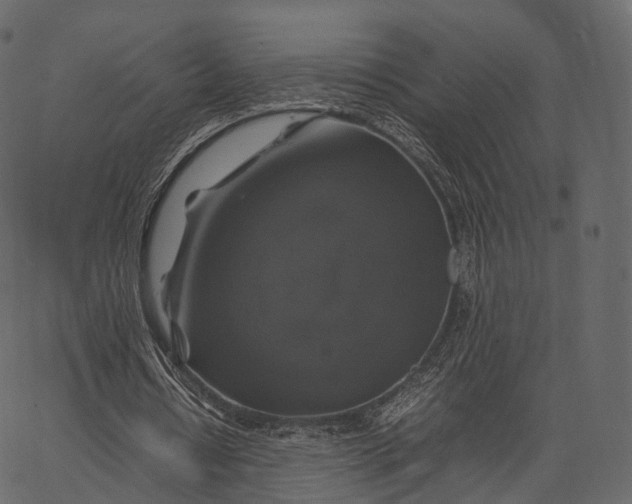 X0000062620434200601111038