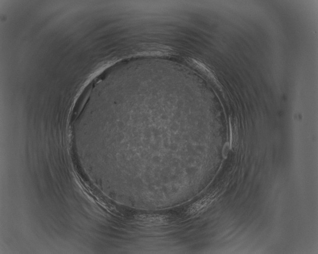 X0000062620435200601111038