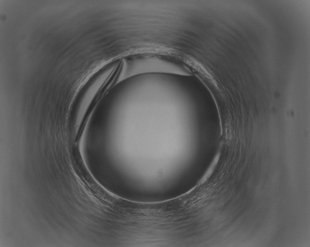 X0000062620436200601111038