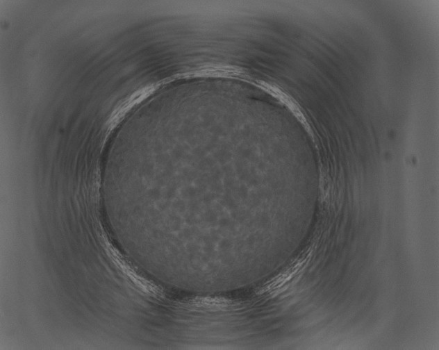 X0000062620437200601111038