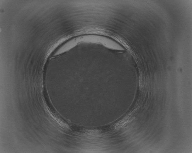 X0000062620438200601111038