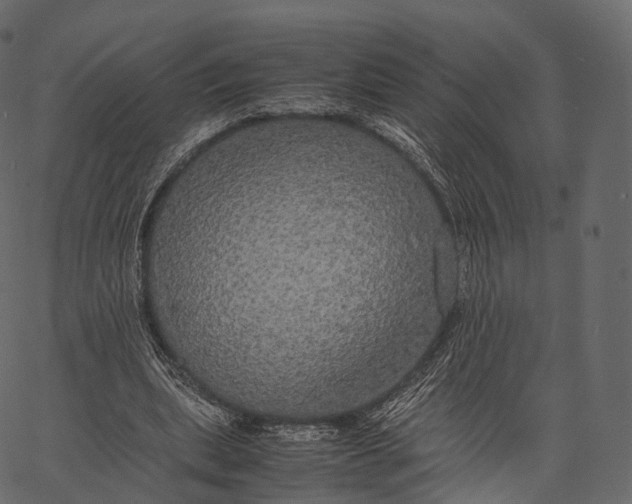 X0000062620439200601111038