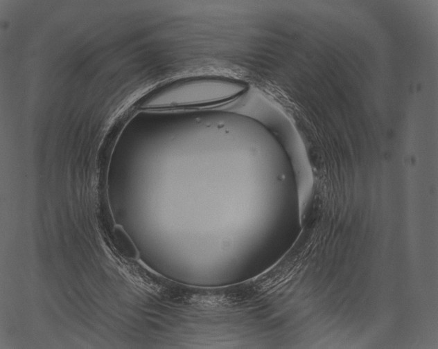 X0000062620440200601111038