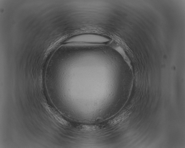 X0000062620442200601111038