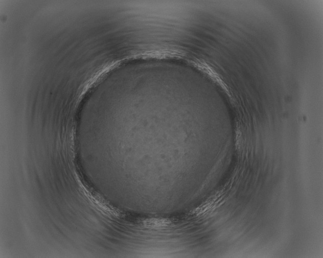 X0000062620444200601111038