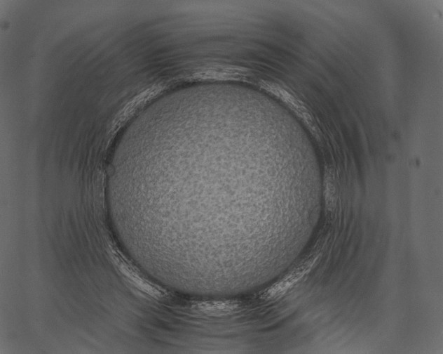 X0000062620445200601111038