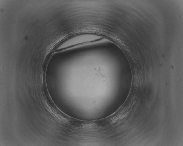 X0000062620446200601111038