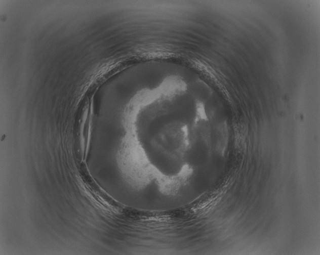 X0000062620447200601111038