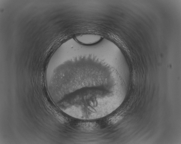 X0000062620449200601111038